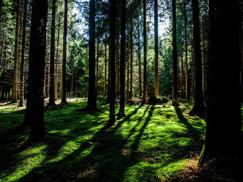 旧物修复师<br>lyv4augd.cn 修文物修钟表